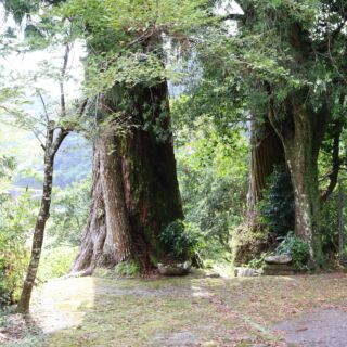 森から生まれた新しい木のカバン monacca（モナッカ）公式サイト
